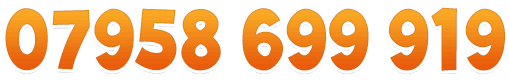 07958699919